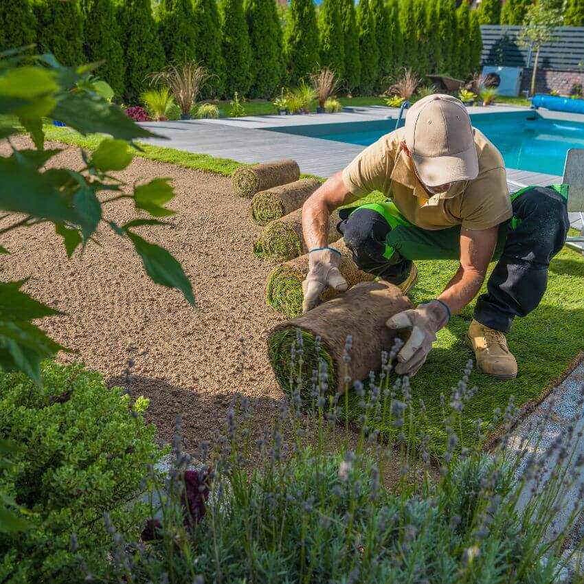 Professional landscape construction